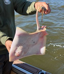 A fishing tour in North Carolina
