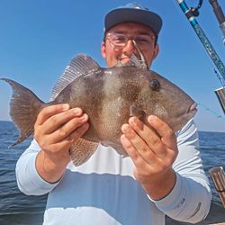Catch of the day: Grey Triggerfish, 17-inch fish, fishing tour in Wanchese