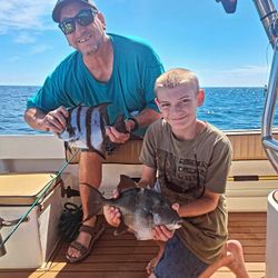 Two grey triggerfish caught on a fishing tour in NC