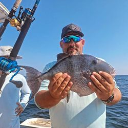 Photograph of a 22-inch grey triggerfish caught while fishing in North Carolina