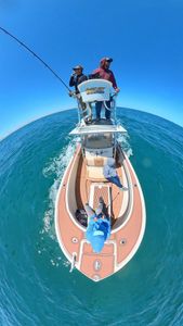 A large Atlantic needlefish caught in North Carolina