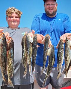 7 northern snakehead fish caught by 2 people in Wanchese
