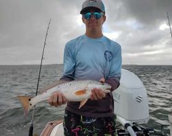 Redfish, 20-inch fish caught fishing in NC