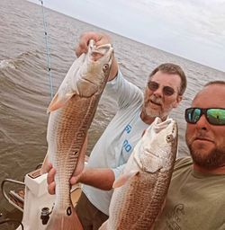 Two redfish, 23 inches long, caught while fishing in NC