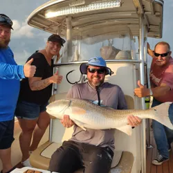 Redfish caught in NC, 38 inches long