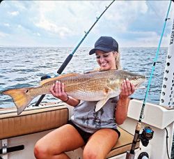 Redfish caught in Wanchese during fishing tour