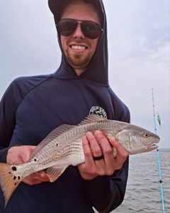 Redfish caught by angler in North Carolina