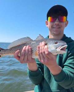 Redfish caught in Wanchese