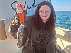 A lone sea bass caught while fishing in NC