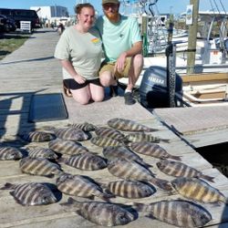 Seven sheepshead fish caught in North Carolina