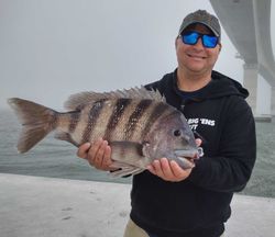 Sheepshead fish caught in Wanchese