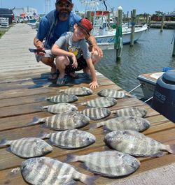 Sheepshead fish catch in NC