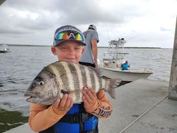 A sheepshead fish, 16 inches long, caught in Wanchese