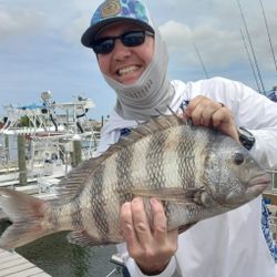 Sheepshead fish caught in NC
