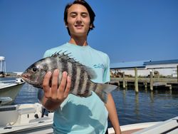 Sheepshead fish caught on fishing tour in North Carolina