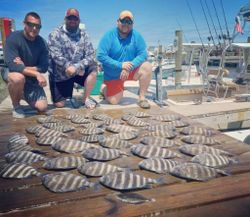 3 sheepshead fish caught in NC