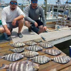 7 sheepshead caught during fishing tour in NC