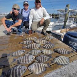 6 sheepshead fish caught on fishing tour in NC