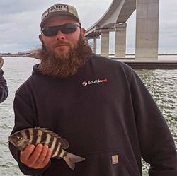 Sheepshead fish caught during fishing tour in Wanchese