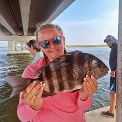Sheepshead fish caught on fishing tours in NC