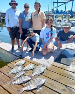 Two sheepshead fish caught on a fishing tour in Wanchese