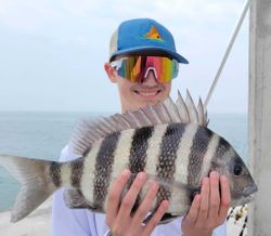 Sheepshead fish caught in Wanchese