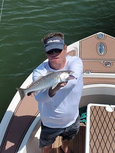 Spotted Weakfish, 14 inches, caught fishing in NC