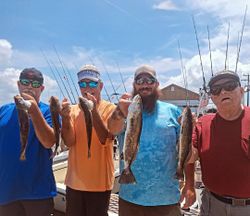 Four spotted weakfish caught during a fishing tour in Wanchese