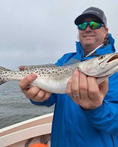 Spotted weakfish caught during fishing tour in Wanchese