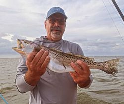 Spotted Weakfish caught in Wanchese during fishing tours