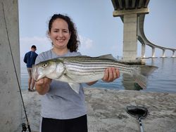 Striped bass caught while fishing in Wanchese