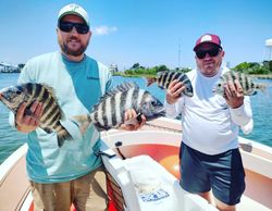 3 sheepshead fish caught by 3 people in Wanchese