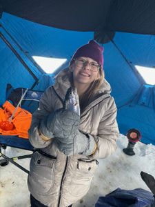 Angler fishing in Colorado