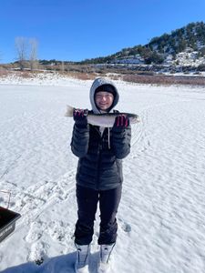 One rainbow trout caught while fishing in Rifle