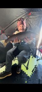 Ice fishing in shelter with freshly caught fish in Rifle Colorado