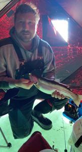 Angler with 11-inch fish caught in Rifle