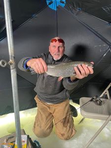 A single rainbow trout caught while fishing in Colorado
