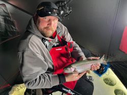 A fisherman catching a rainbow trout in Colorado