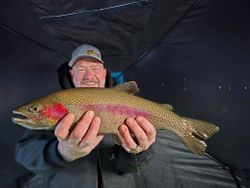 Photograph of a single, colorful rainbow trout caught while fishing in Colorado