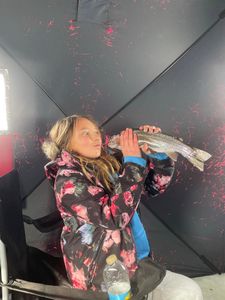Rainbow Trout, 12-inch fish, fishing in CO