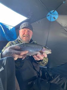 A single Rainbow Trout caught while fishing in CO