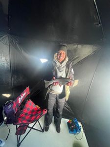 A single rainbow trout fish caught while fishing in Rifle, Colorado