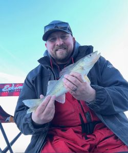 Freshly caught walleye held up during ice fishing trip in Rifle Colorado