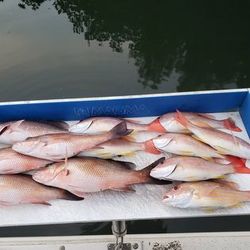 5 fishing in FL