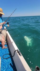 Fishing at the beautiful location of Placida