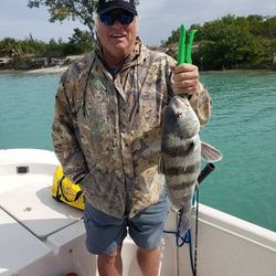Fisherman with a black drum fish in Placida