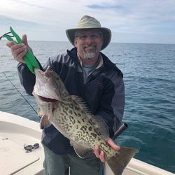 Gag grouper caught fishing in FL