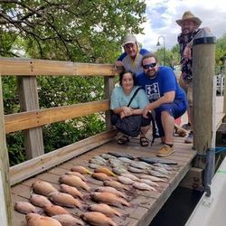 Four people fishing in Placida
