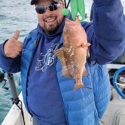 Red Grouper, 11-inch fish caught while fishing in Placida
