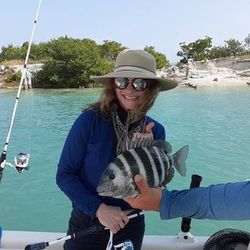 Sheepshead fish caught by angler in Placida